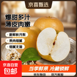 正宗新鲜秋月梨  5斤箱装