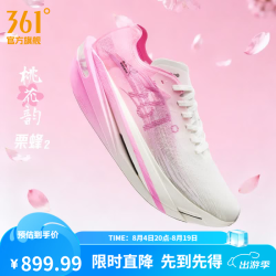 361° 栗蜂2 男款跑步鞋