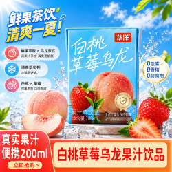 华洋 果汁茶饮料200ml 白桃草莓乌龙茶饮料 苹果芭乐茉莉青提饮品 白桃草莓乌龙12盒+青提茉莉12盒