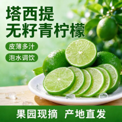 海利珍 塔西提青柠檬新鲜水果皮薄多汁无籽当季现摘产地直发泡水调饮