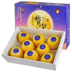 特大果王 山东 秋月梨 2.5斤装 单果270-500克+