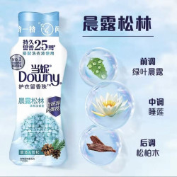 Downy 留香珠持久留香清雅白茶除菌洗衣香珠洗衣液190g