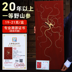 半山农 长白山人参20年以上一等野山参19-21克带鉴定证书滋补品高档礼品