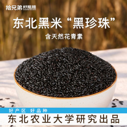 拾兄弟 东北黑米当季新米优质黑大米粗粮米饭五谷杂粮粥饭健康