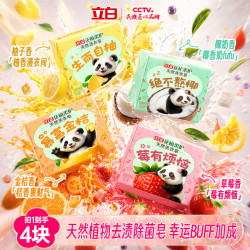 立白 花植柔护天然洗衣皂 花果香 100g*4块 植物活性 超强去污