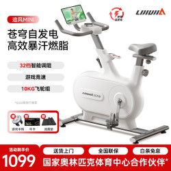 立久佳 动感单车自发电家用智能调阻运动健身器材室内自行车 追风MINI 自发电/10KG飞轮组/白