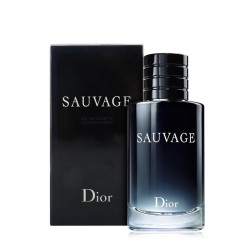 Dior 男士香水桀骜 旷野狂野 持久香氛系列 旷野男士淡香水EDT100ml