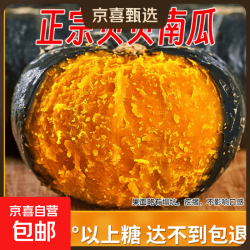 京喜 内蒙精品贝贝南瓜(超甜瓜)净4.5斤单果300g+