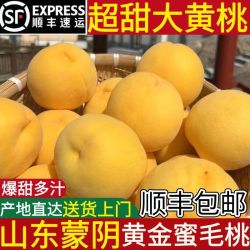锦果实 MIQIMENG 米琪萌 山东蒙阴黄桃 黄金蜜桃 200g 4.5斤