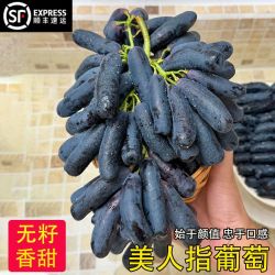零点森态 四川蓝宝石葡萄 4斤/2斤 美人指金手指葡萄 无籽黑提子