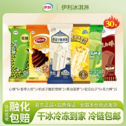 伊利 奶皮子酸奶雪糕 30支