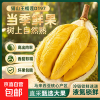 京喜 液氮冷冻猫山王榴莲D197整果 净重3-3.6斤