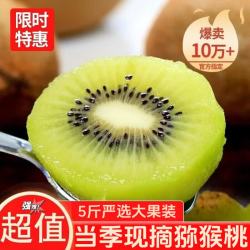 山之巅 疆域采虹正宗当季现摘绿心猕猴桃湖南新鲜水果奇异果净重约为4斤+