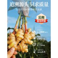 华银春 纯生姜粉云南食用小姜黄粉干姜粉旗舰商用家用煲汤炒菜研磨厨房