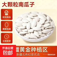 厂家直销新货原味椒盐五香味南瓜子大颗粒办公室健康养生茶饮坚果 新疆大颗粒 100g*1袋 原味南瓜子