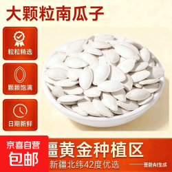 厂家直销新货原味椒盐五香味南瓜子大颗粒办公室健康养生茶饮坚果 新疆大颗粒 100g*1袋 原味南瓜子