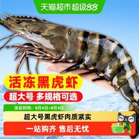 天猫超市 无品牌 国产 黑虎虾 450g/盒 冷冻