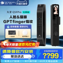 德施曼 DESSMANN 德施曼 R7E 智能门锁