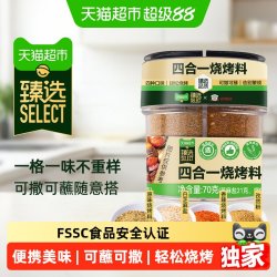 吉得利 四合一烧烤料 70g 烤肉撒料
