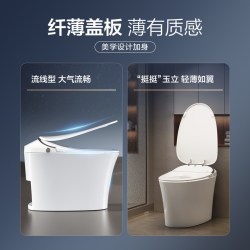 恒洁 全自动冲水 智能马桶