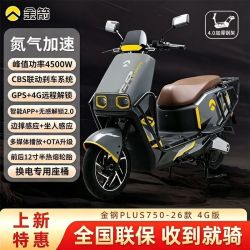 金箭 金钢PLUS750 大动力电动摩托车 官方正品裸车