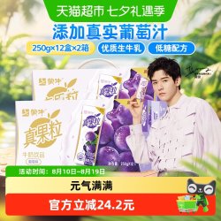 蒙牛 葡萄牛奶饮品