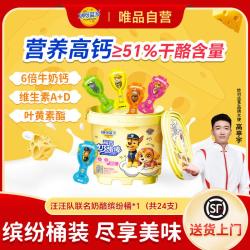 妙可蓝多 51%干酪奶酪棒水果味桶装432g挖沙桶端午节日玩具儿童零食