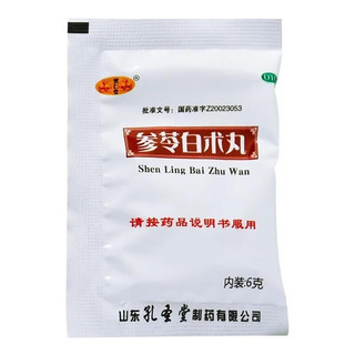 宝仁堂 参苓白术丸 6g*9袋/盒
