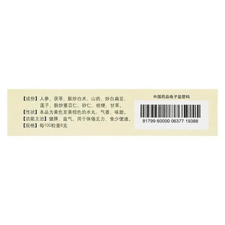 宝仁堂 参苓白术丸 6g*9袋/盒