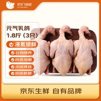 京觅 飞翔鸽 乳鸽 900g