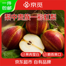 京觅 陕西彩虹梨 净重4.5斤 单果160g+ 脆甜早酥梨 新鲜水果 源头直发
