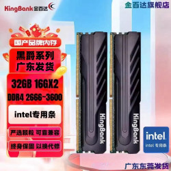 金百达 黑爵战甲系列 DDR4 2666MHz 台式机内存 马甲条