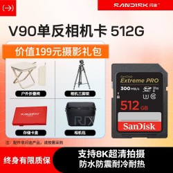 闪迪 读速300MB/s SD存储卡  512GB