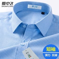 雪中飞 男士短袖衬衫 弹力抗皱免烫条纹休闲衬衣