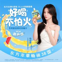 生和堂 金银花双柚汁便携饮料 3袋*100ml