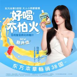 生和堂 金银花双柚汁便携饮料 3袋*100ml