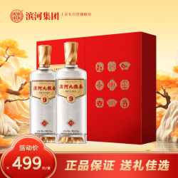 滨河 九粮春 53度 九粮香型白酒 500mL*2瓶