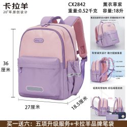 卡拉羊 青少年儿童双肩包 CX2842 18升