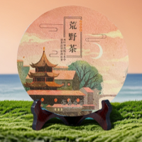 老白茶荒野陈香白茶饼 300g