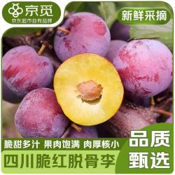 京觅 四川青红脆李脱骨李4.5斤单果20g+半边红李子茵红李水果源头直发 4.5斤装 单果20g+