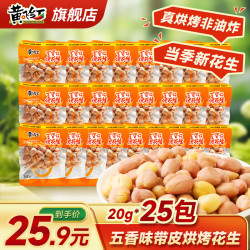 黄飞红 带皮五香烤花生 20g*25袋
