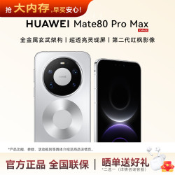 华为 Mate 80 Pro Max 手机 16GB+512GB 极地银