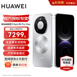 华为 Mate 80 Pro Max 手机 16GB+512GB 极地银