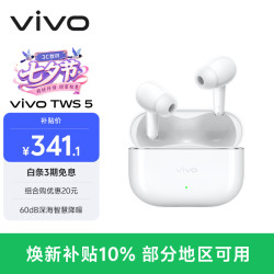 vivo TWS 5 入耳式真无线蓝牙耳机 简单白 Type-C