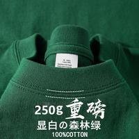 ENYIN100 男士纯棉短袖T恤 10213861082002