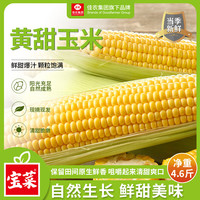 佳农 宝菜山东新鲜水果玉米现摘鲜甜多汁5-6根净重4.5斤源头直发