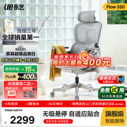 永艺 撑腰椅Flow530/550人体工学椅电脑椅办公老板椅午休椅子整椅 灰色-Flow550基础款-无搁脚