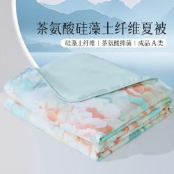 水星家纺 集团出品 百丽丝A类可水洗夏凉被 茶氨酸抗菌夏被空调被夏季被芯  150cm*200cm