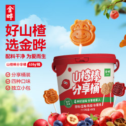 金晔 小牛山楂棒棒糖 原汁原味 408g 蜜饯果干