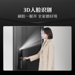德施曼 V20F 指纹密码电子锁